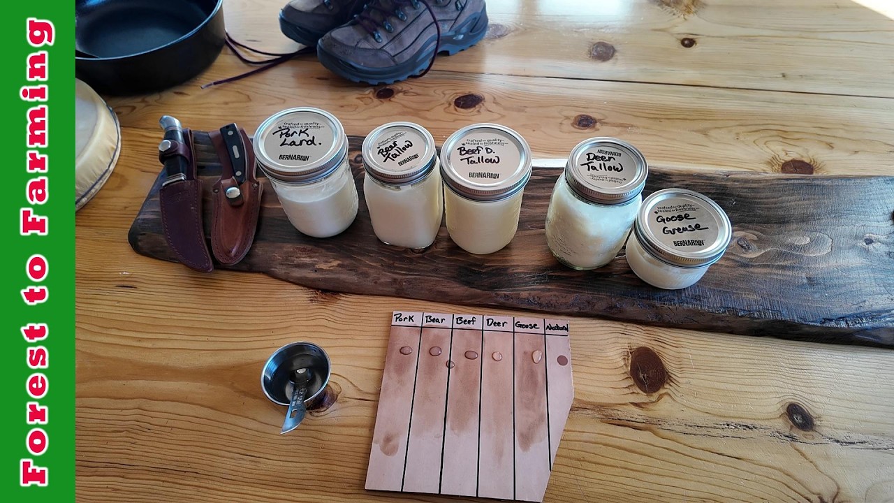 Beef, Bear, Venison, Goose, Pig Tallow/Lard