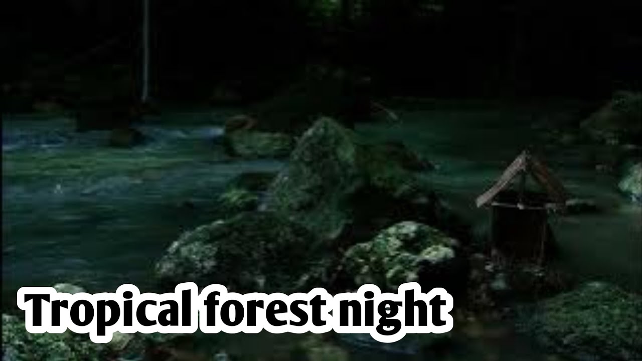 Tropical Forest & River Night Scene - Comfortable Cabin for Sleeping & Studying