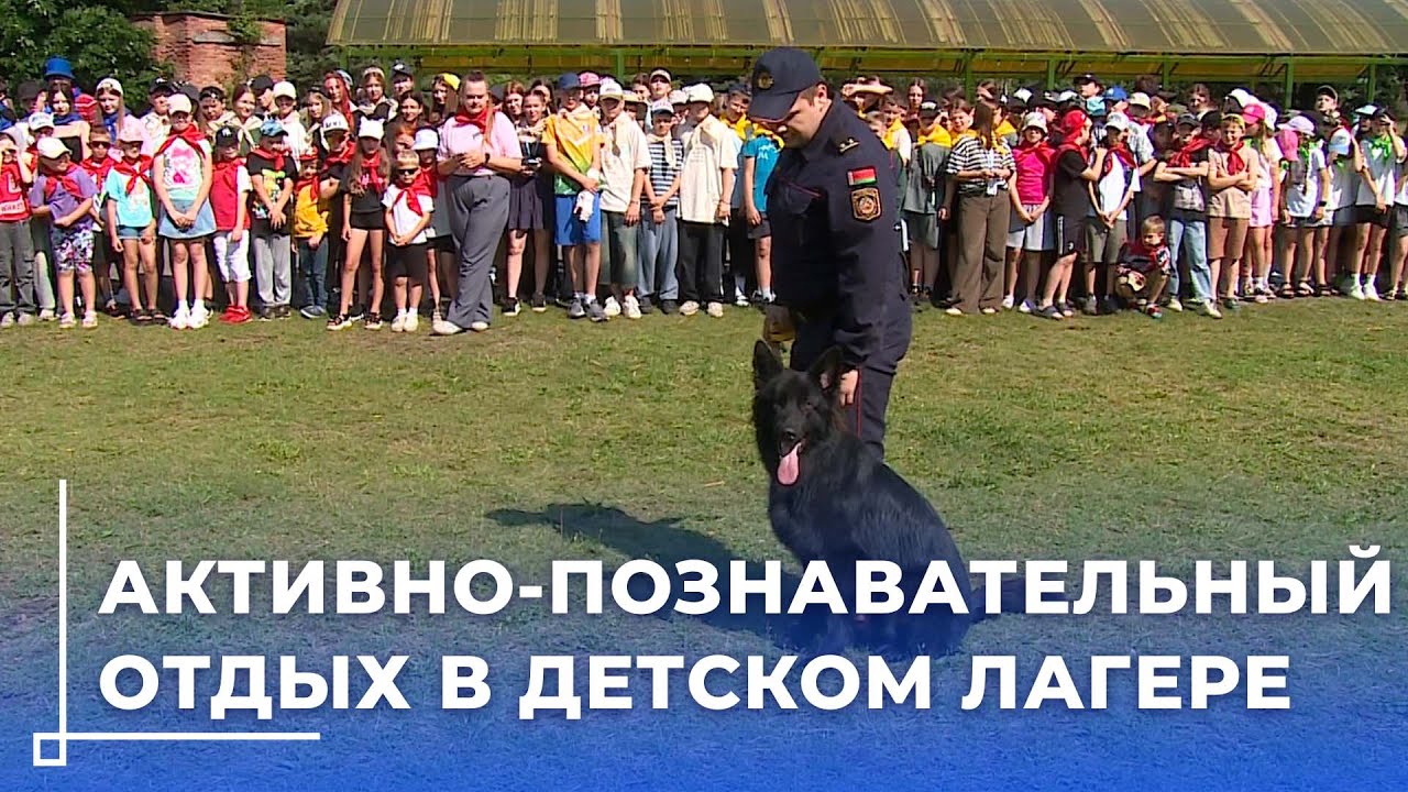 Кинологи, госавтоинспекторы и ОМОН: воспитанники лагеря «Чайка» познакомились со службой милиции