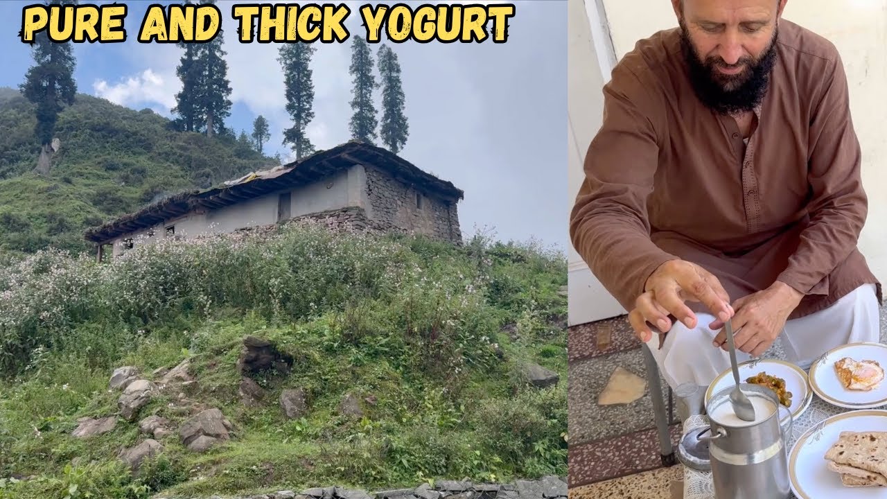Fresh and healthy yogurt from Mountains Of Kashmir
