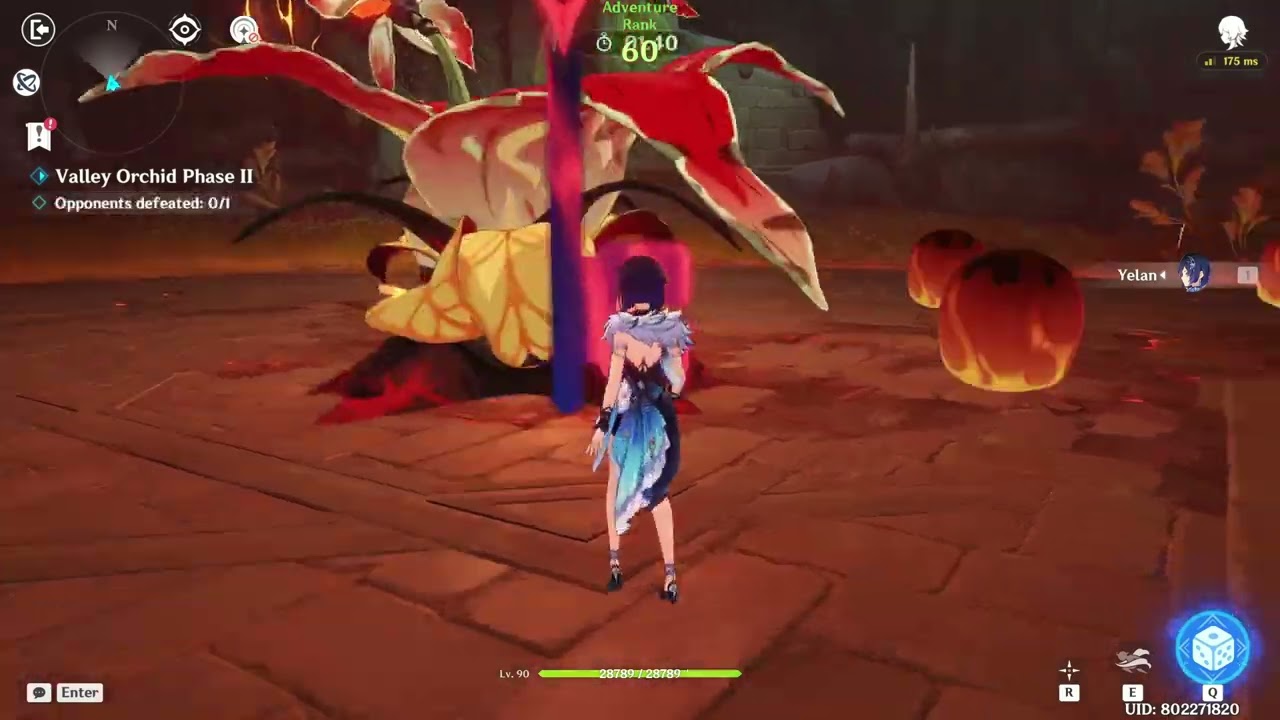 C0 Yelan Echo Challenge