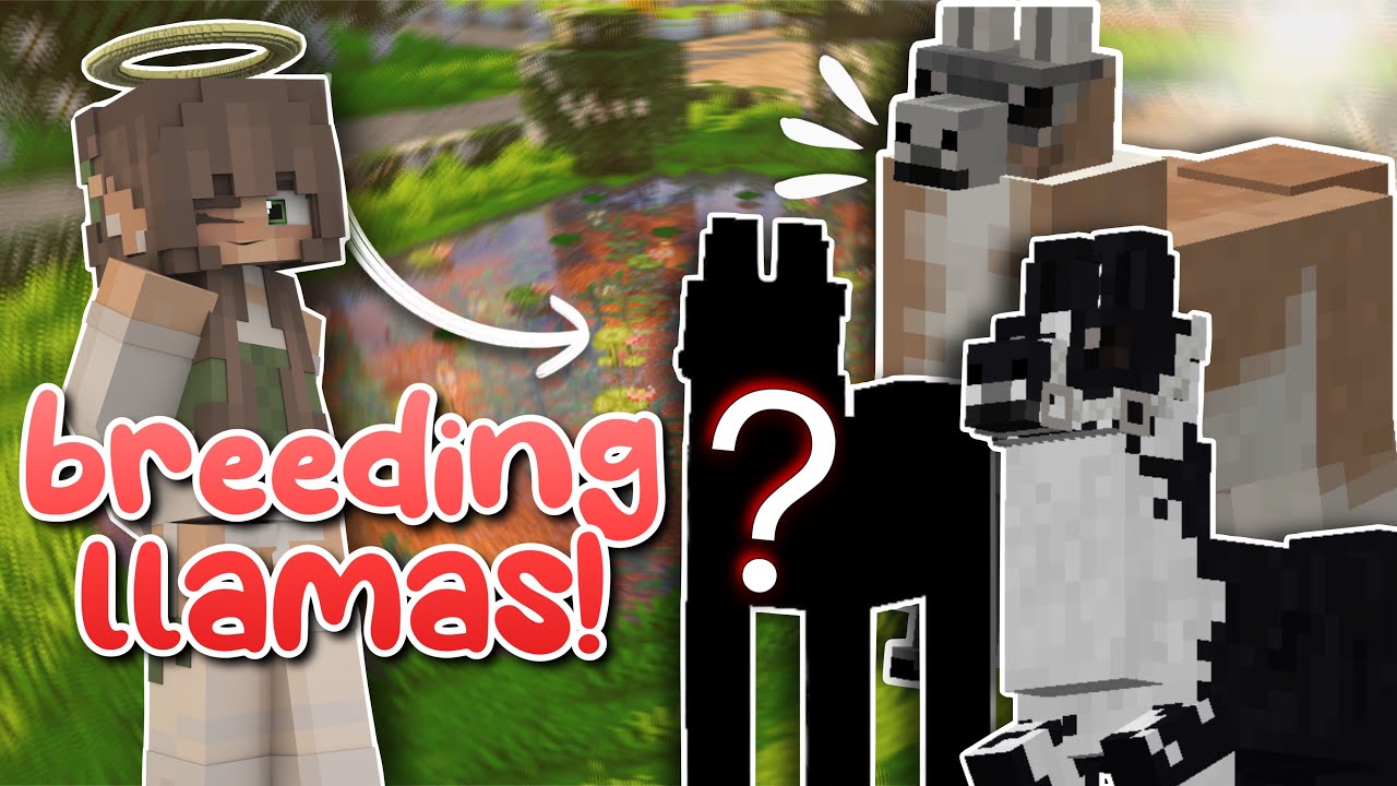 ВЫВЕСТИ МИЛЫХ ЛАМ 🦙 Генетические животные Minecraft