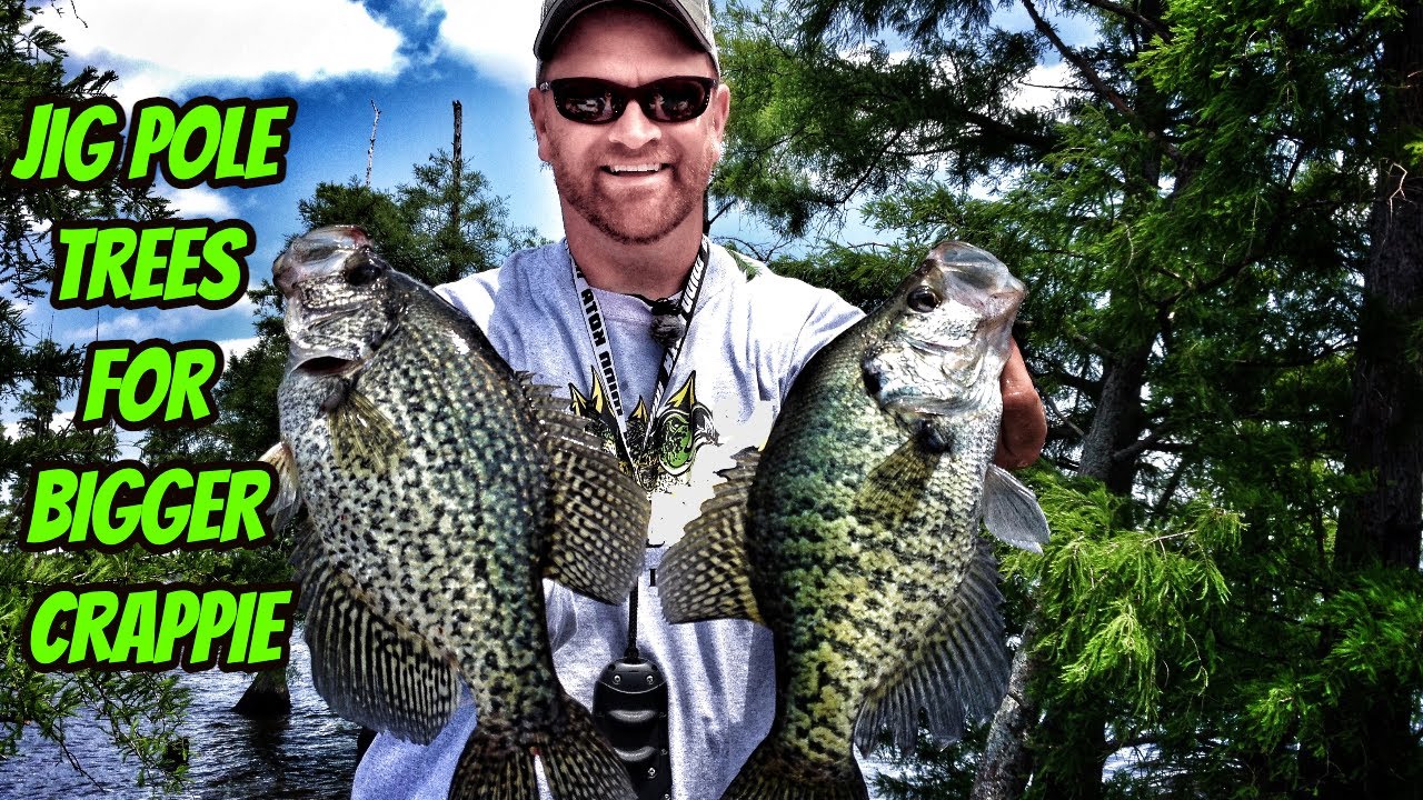 JIG POLE TREES FOR BIGGER CRAPPIE- How To Do It!