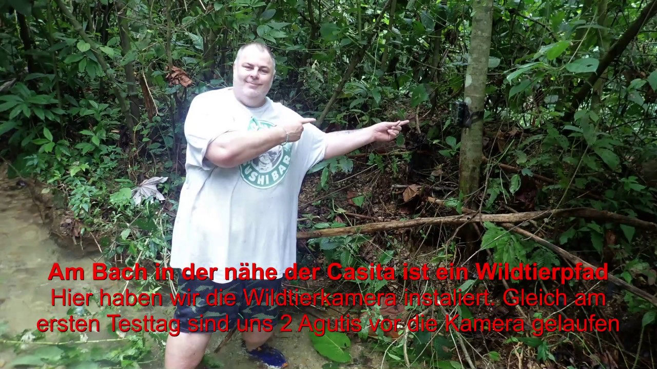 Mit der Wildtierkamera ( Bewegungsmelder) auf Jagd in Panama