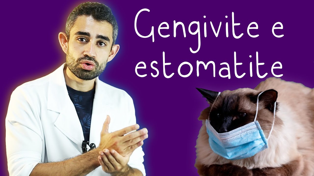 Calicivirus Felino | Dica Veterinária #37