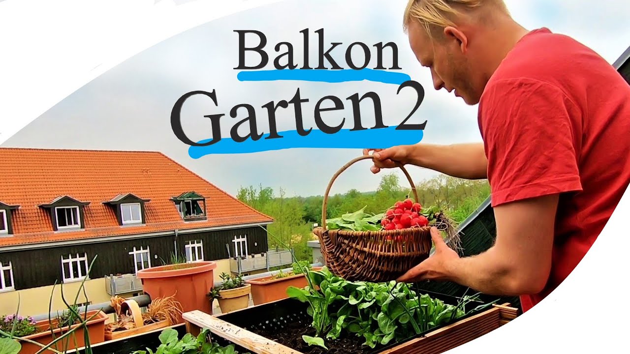 Balkongarten Teil II Auf 3 M² Gemüse anbauen