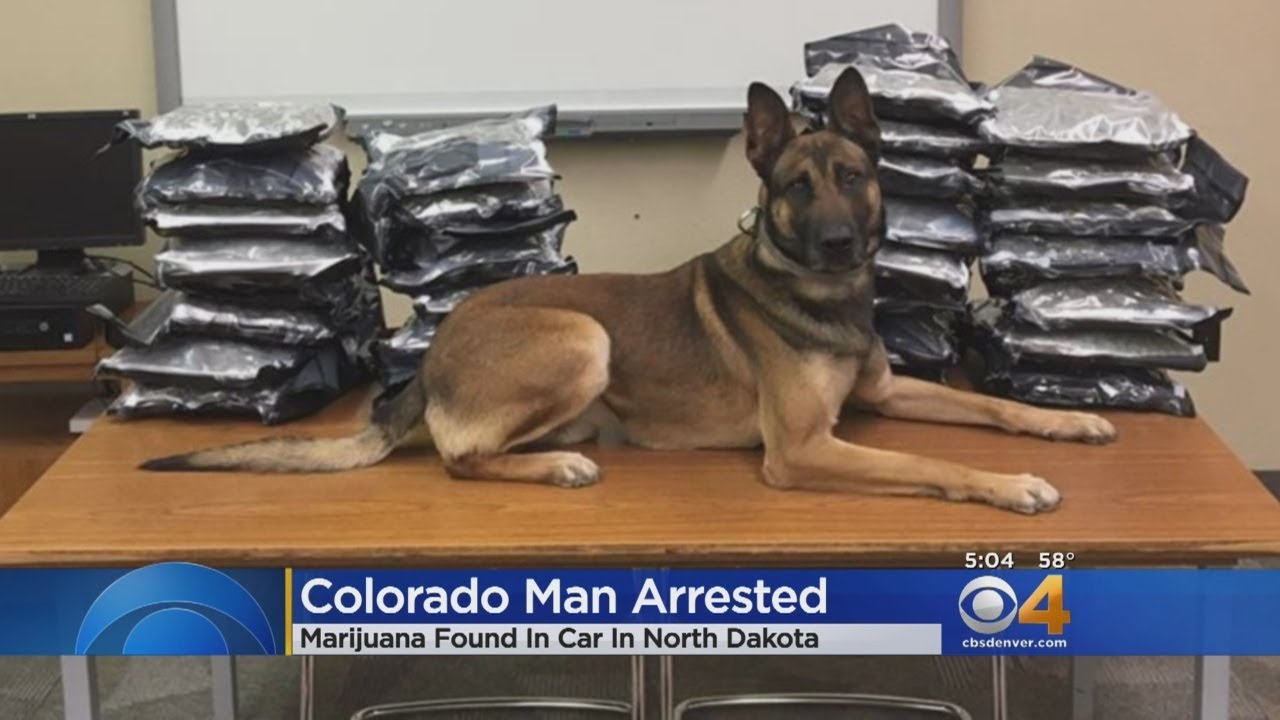 Police: Coloradan Busted In North Dakota With 30 Pounds Of Pot