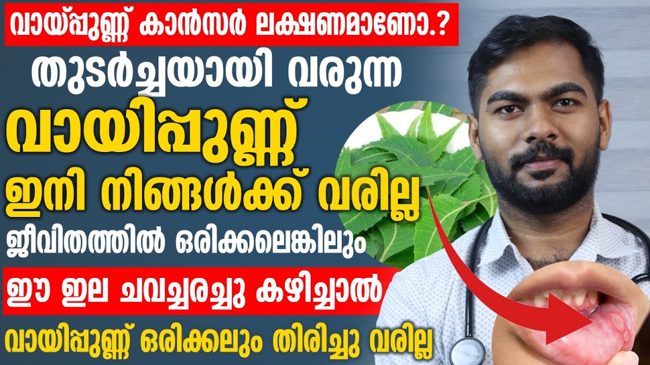 തുടർച്ചയായി വരുന്ന വായ്പുണ്ണ് മാറ്റാൻ ഈ ഇല ചവച്ചരച്ചു കഴിച്ചാൽ മതി |vaayppunn malayalam|vaayppunn
