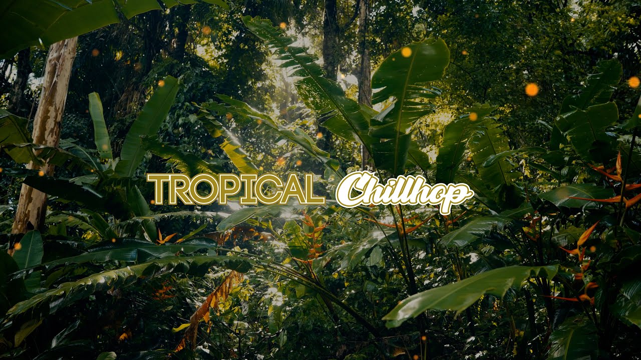 Morning Tropical Chillhop for relaxation and study