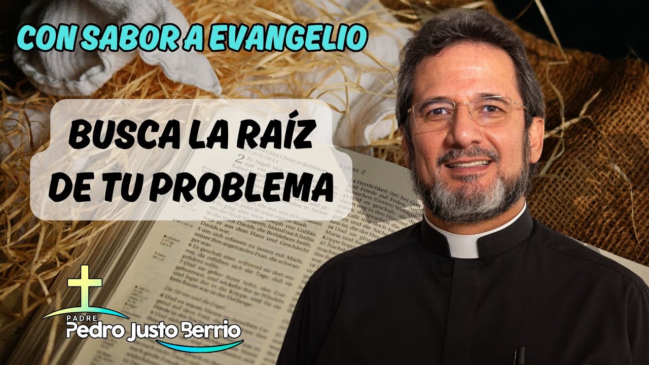 Busca la raíz de tu problema | Padre Pedro Justo Berrío