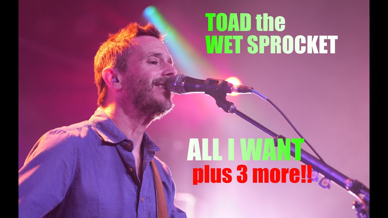 TOAD the WET SPROCKET  