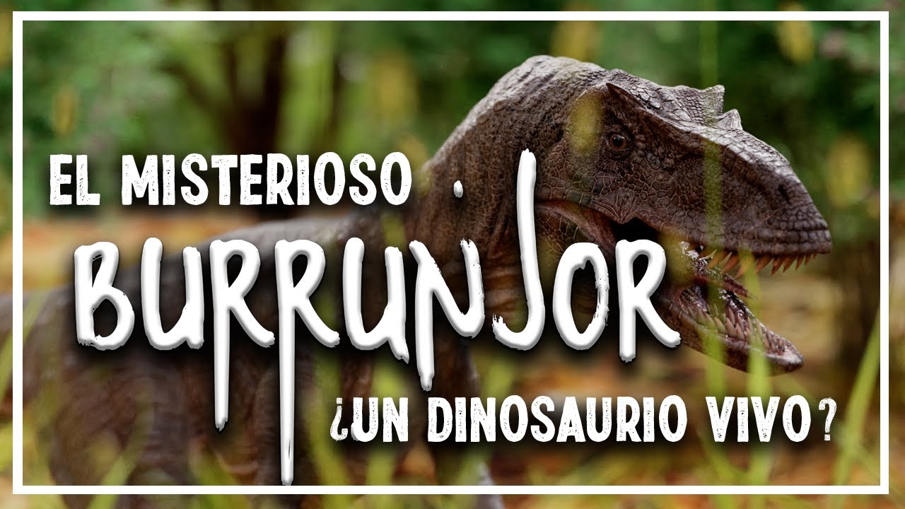 CRIPTOZOOLOGÍA: 🦖 BURRUNJOR ¿Un DINOSAURIO VIVO en Australia?