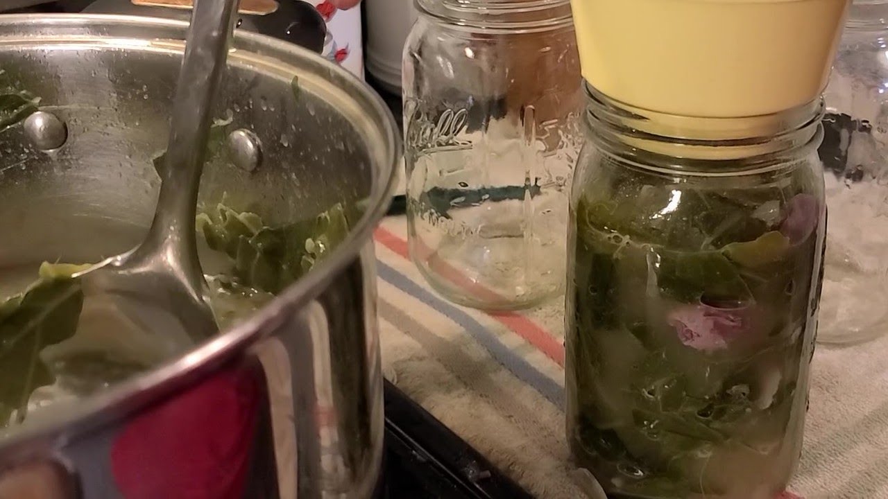 Canning Greens, My Family's Favorite!!