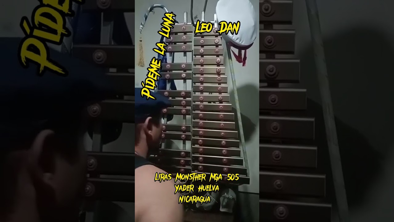 Pídeme la Luna 🌙🌒 Leo Dan en Lira