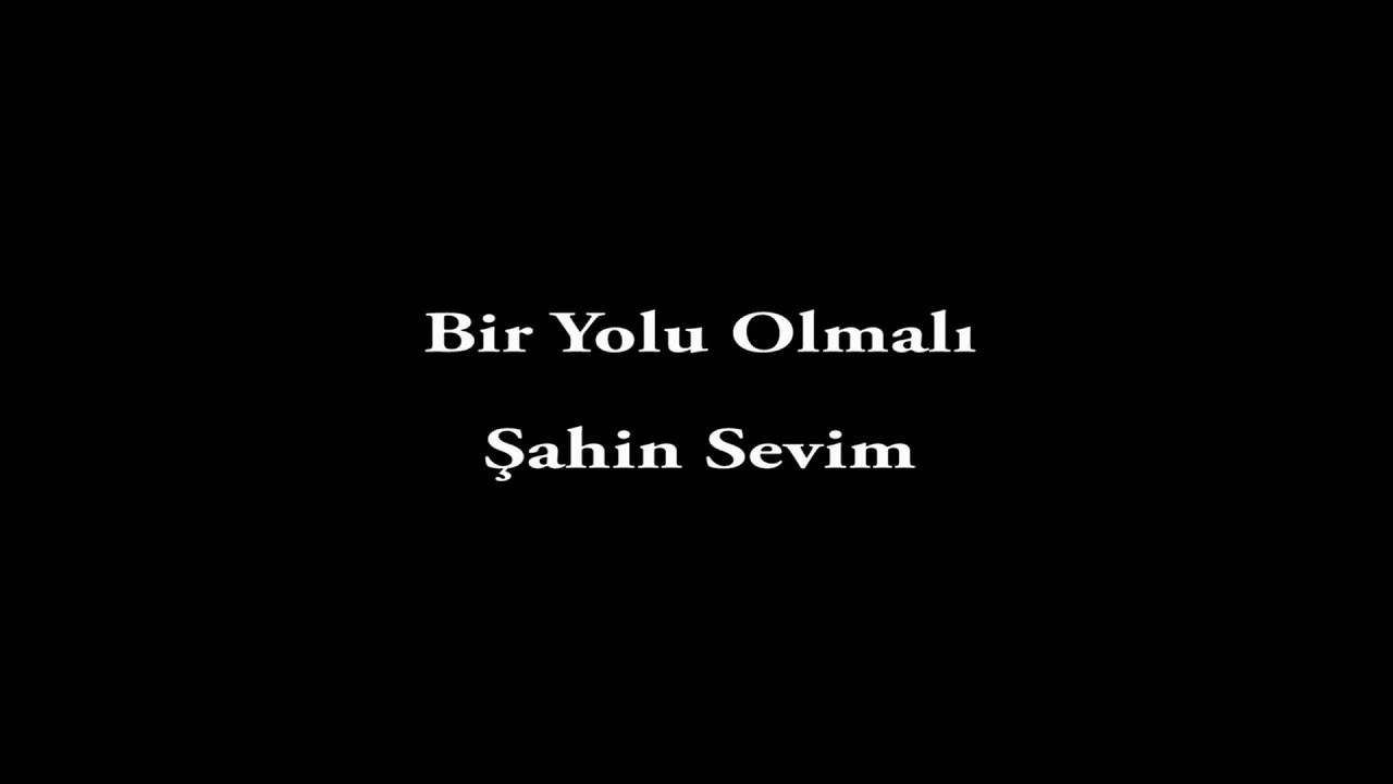 Şahin Sevim-Bir Yolu Olmalı