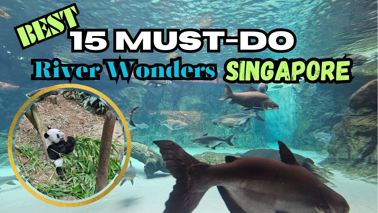 15 Must-DO in River Wonders 河川生态园 | Singapore 🤩 | Wildlife, Panda, Safari, Amazon