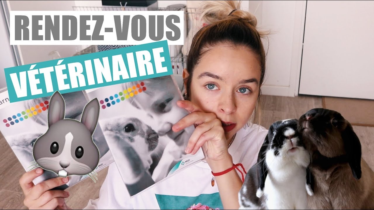 VÉTÉRINAIRE LAPIN : STÉRÉLISATION, VACCINS, PRIX, POIDS...