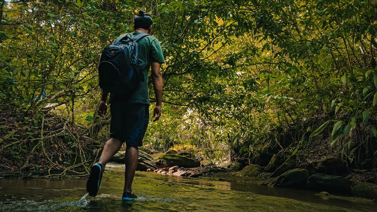Napittachora Trail || নাপিত্তাছড়া ট্রেইল || Cinematic 4K