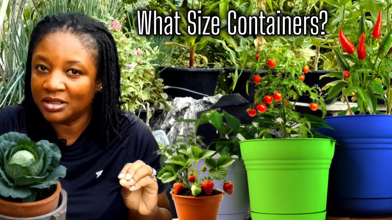 Growing Fruits And Vegetables In Containers Is Easy! What Size Containers To Plant In  For Success 