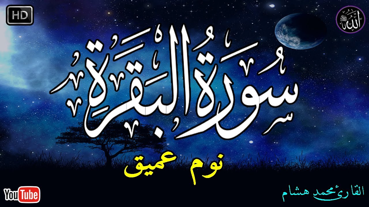 سورة البقرة طاردة الشياطين💚 بصوت هادئ ومريح جدا جدا 💚💤تلاوة هادئة للنوم والراحة النفسية 😴