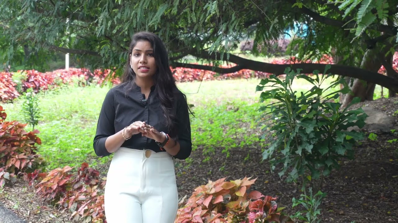 Industry Synergised MBA in Event Management - Student Testimonial