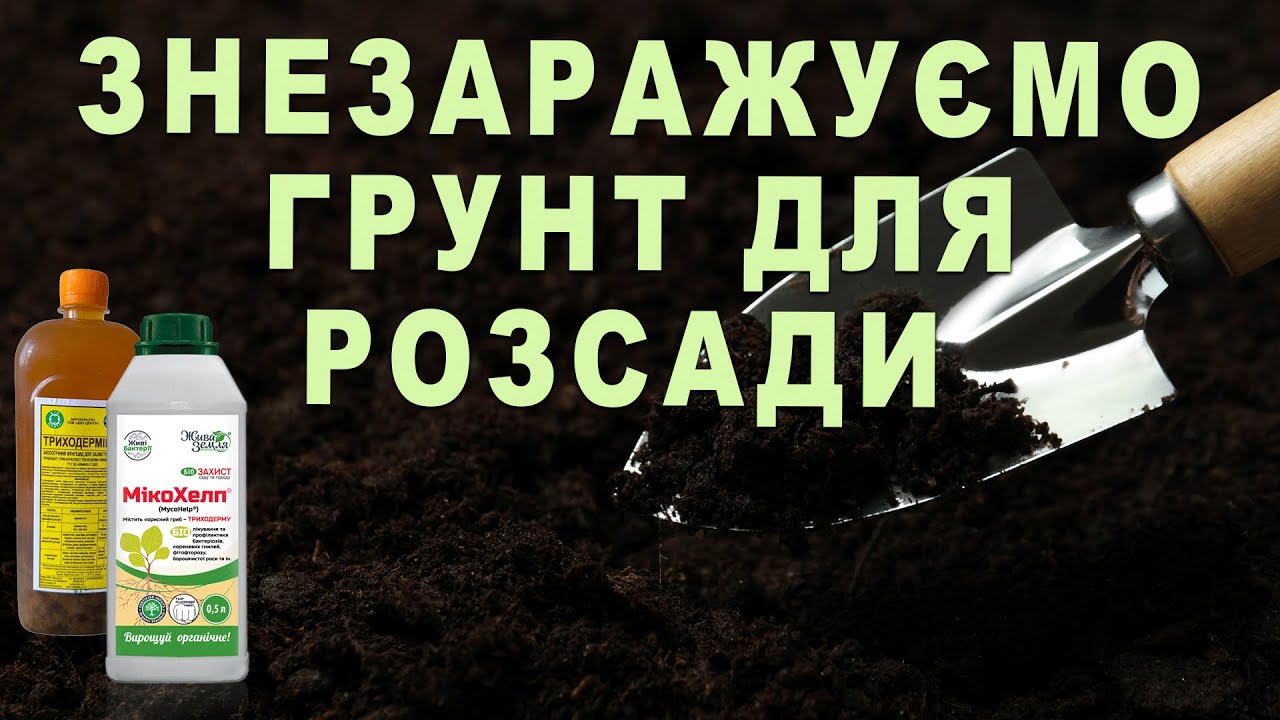 Знезаражуємо ґрунт для розсади. Як БІОПРЕПАРАТИ покращують і оздоровлюють ґрунт, їх користь розсаді