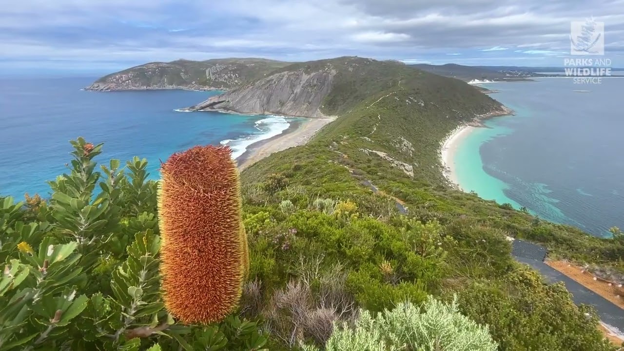 Unveiling the wild beauty of Parks and Wildlife WA: A journey from desert plains to coastal gorges