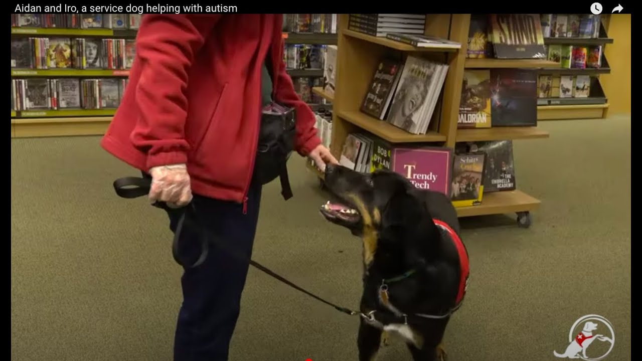Aidan and Iro, a service dog helping with autism