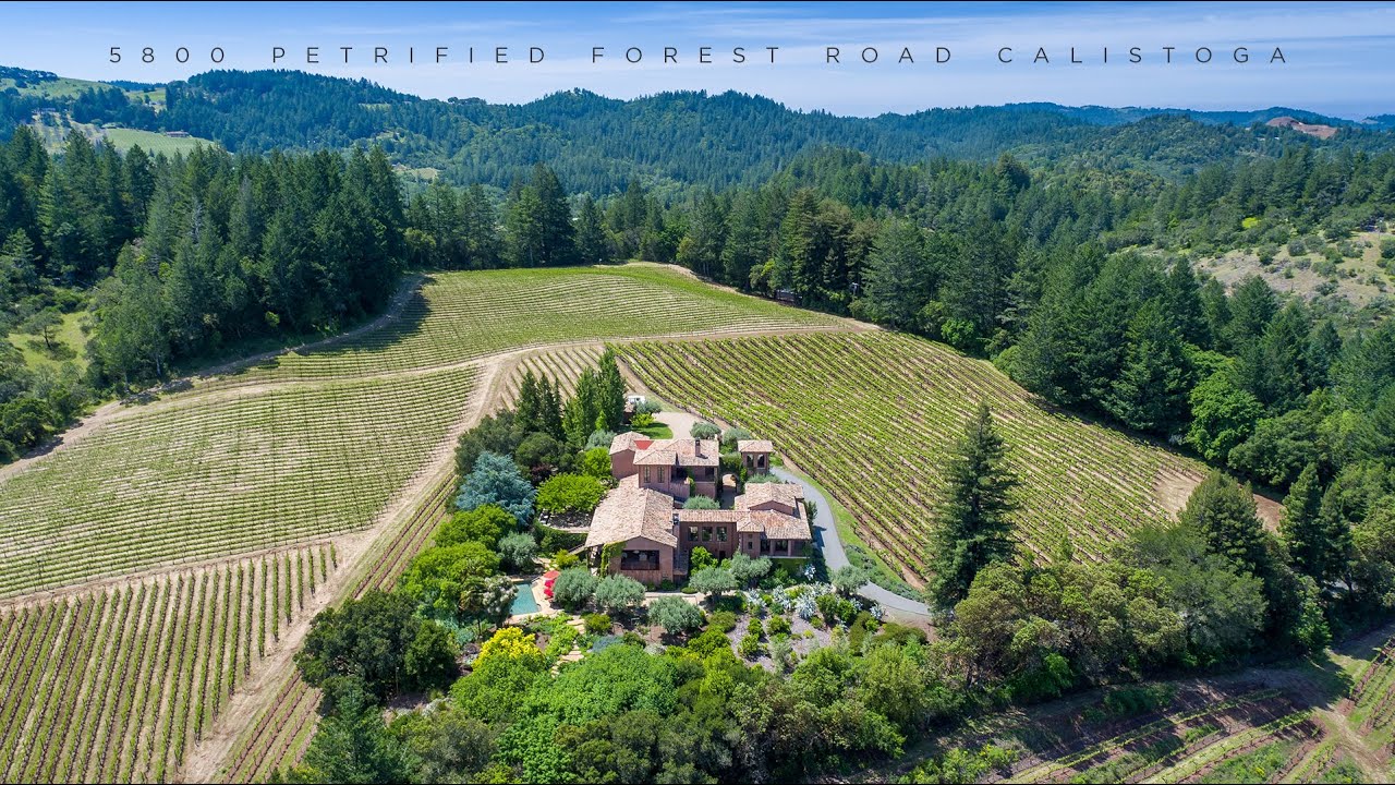 Latife Hayson presents 5800 Petrified Forest Road Calistoga, California