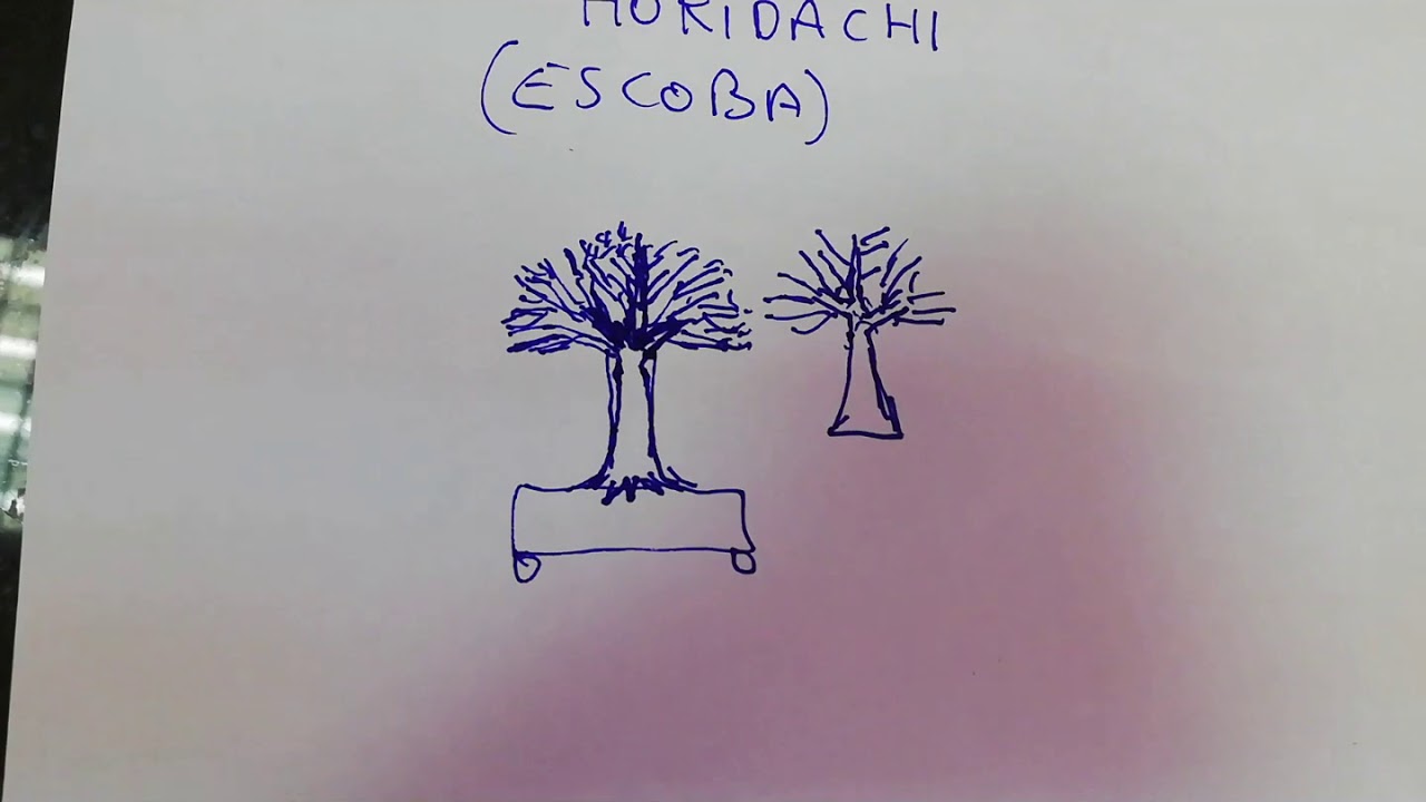 Estilos del Bonsái, Chokkan y Hokidachi(recto formal y escoba)
