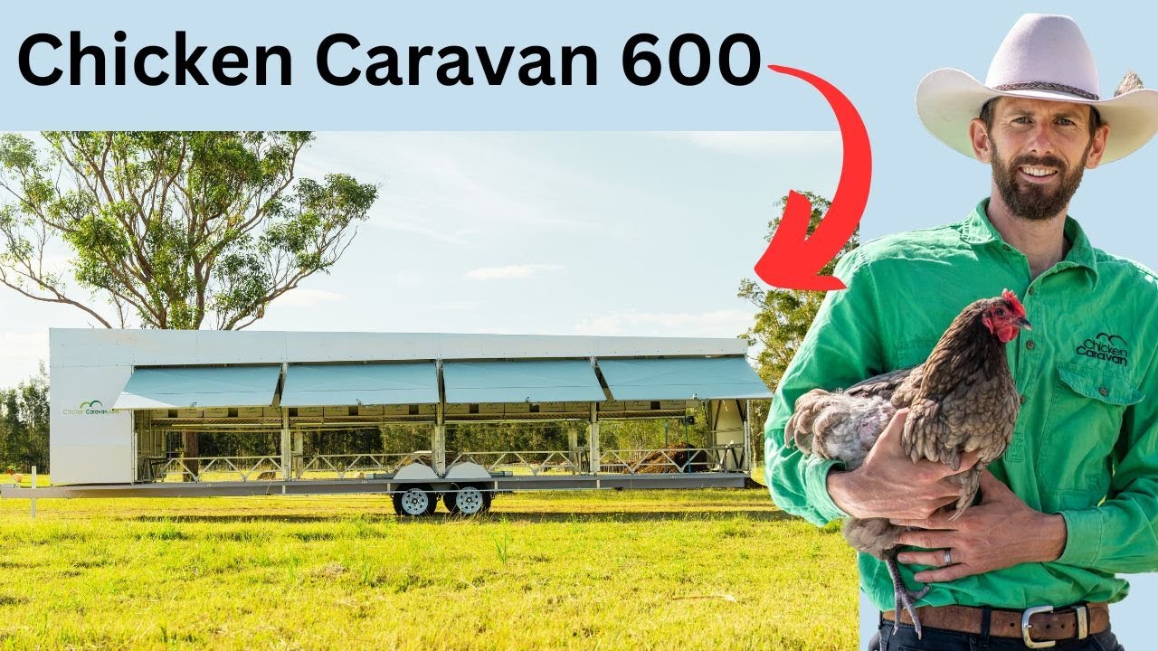 Chicken Caravan 600