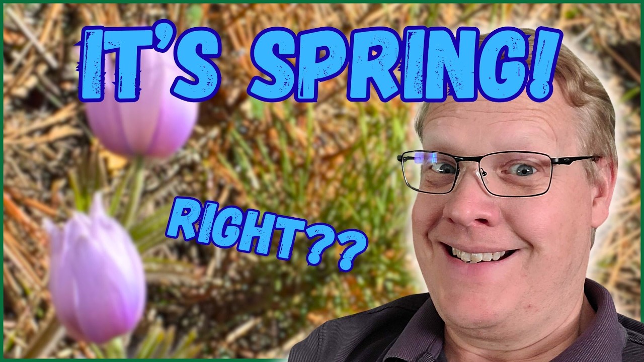 Безумная, непредсказуемая, удивительно красивая весна в Рапид-Сити