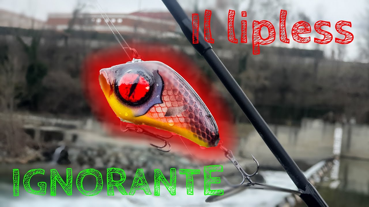 Costruiamo un lipless 💥IGNORANTISSIMO💥 -e che va alla grande!-