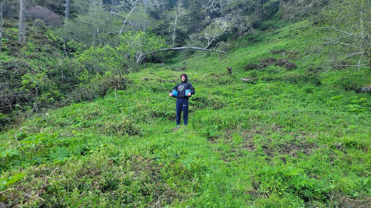 Backpacking Overgrown Sinkyone Wilderness