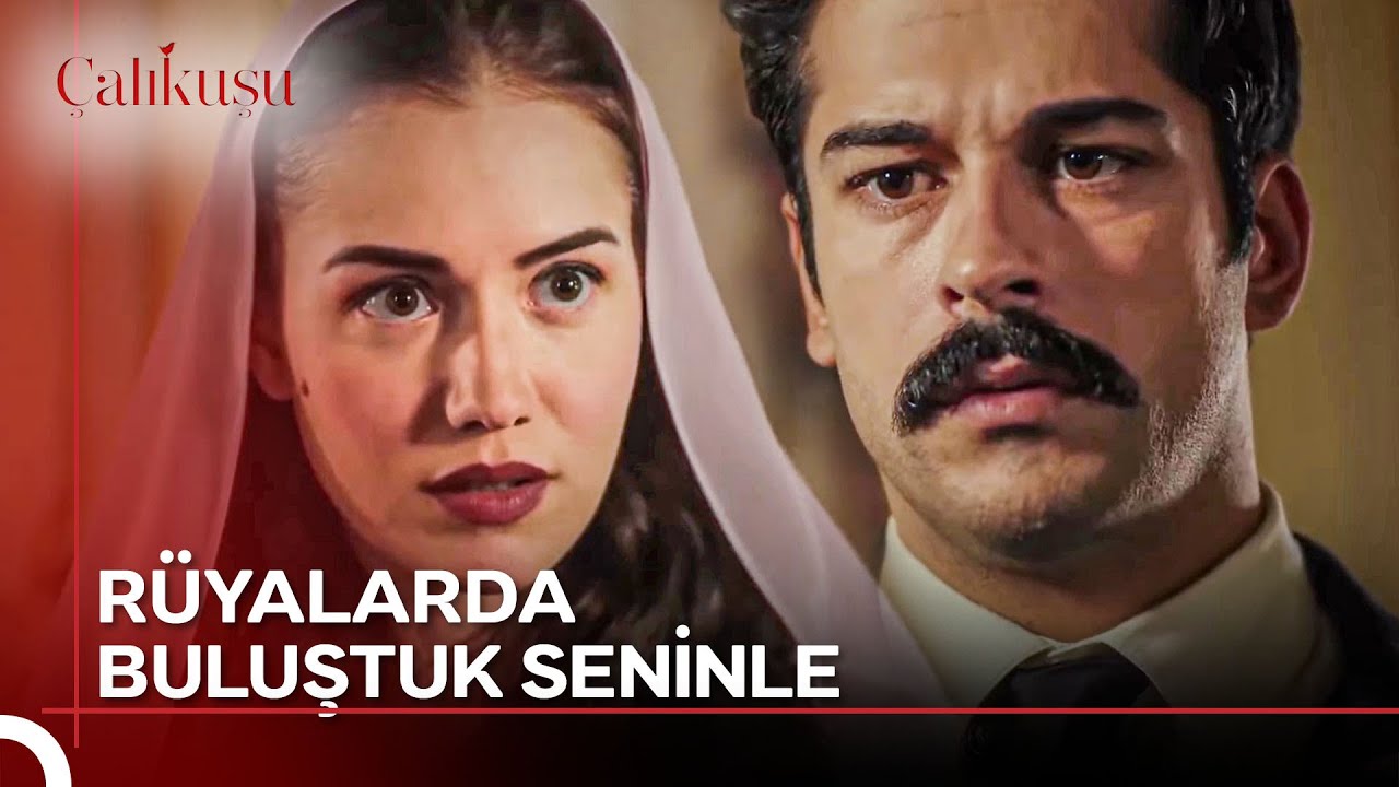 Gülbeşeker Desem Bilir Misin? | Çalıkuşu