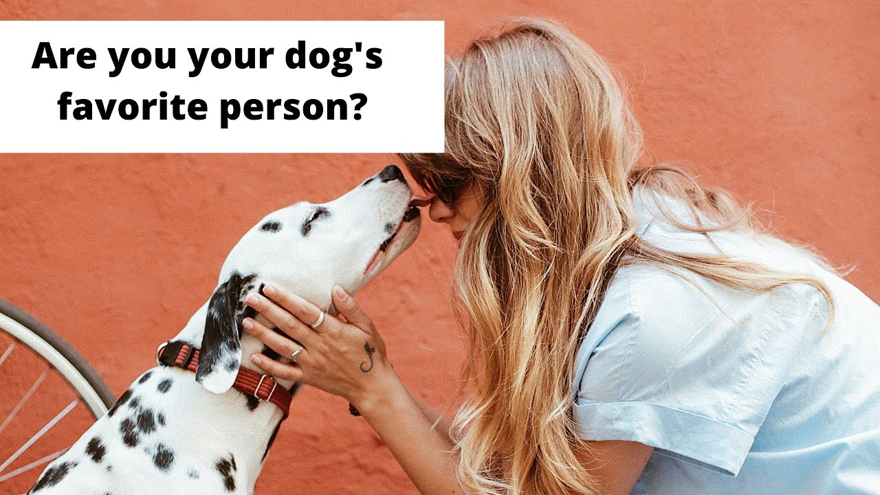 How Your Dog Chooses His Favorite Person