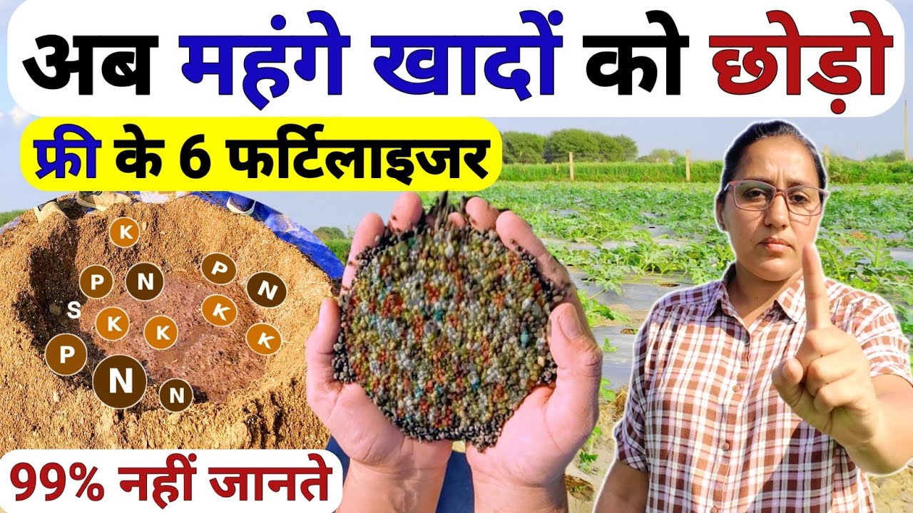 सफल खेती के लिए फ्री के 6फर्टिलाइजर| highpower organic fertilizer | calcium nitrate | chune ka upyog