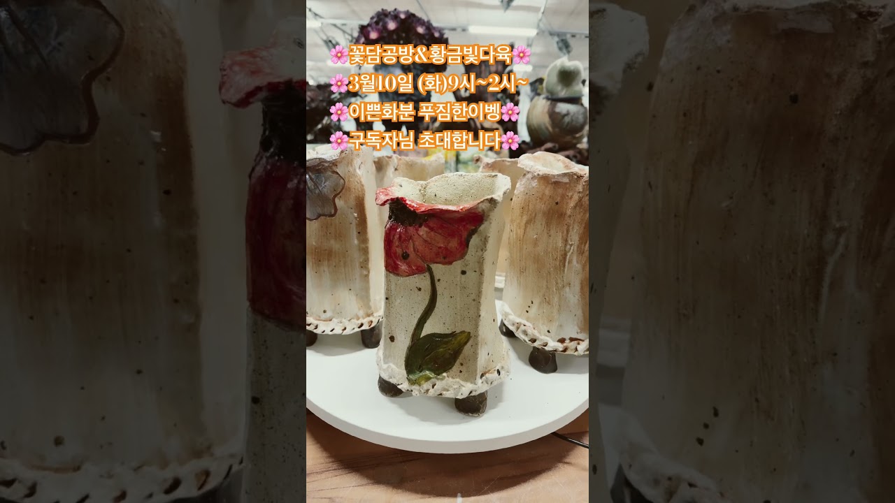 황금빛다육#꽃담화분#구독좋아요부탁드려요 #
