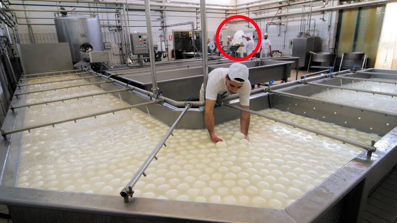 AMAZING FOOD PROCESSING FACTORY MACHINES - CHEESE PRODUCTION PROCESS & TECHNOLOGY