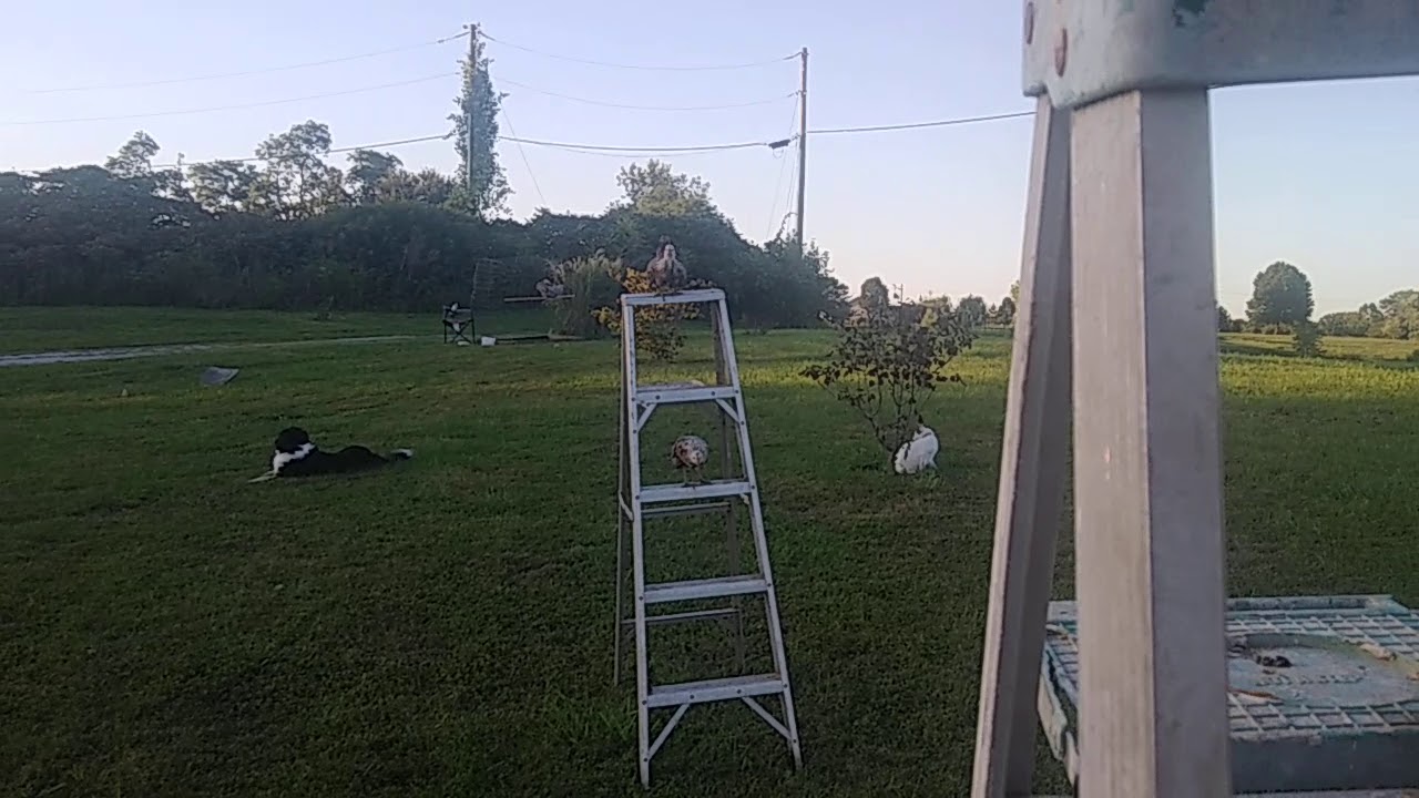 20190828 190636