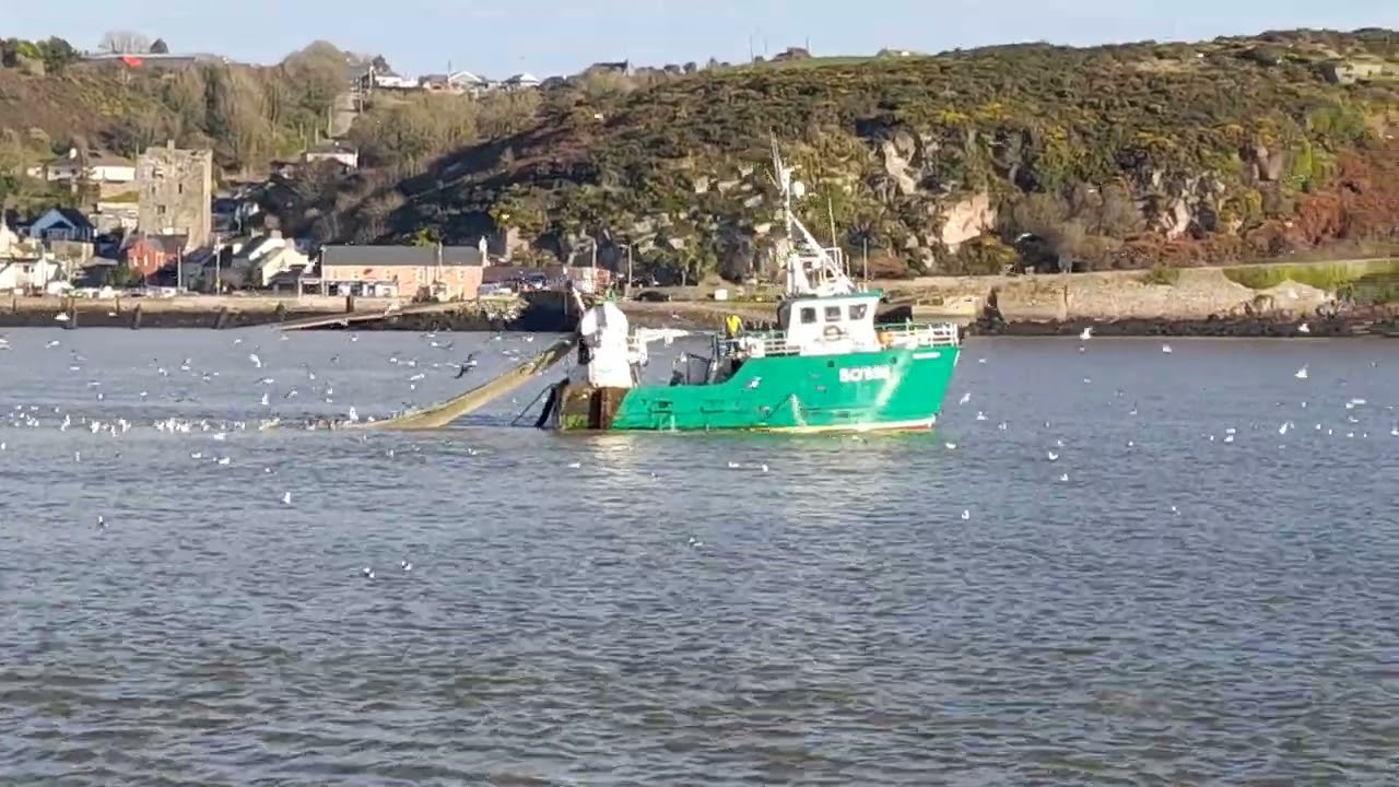 Ocean Breeze and Westbound sprat fishing in Waterford estuary off Ballyhack Wexford 25/11/2021
