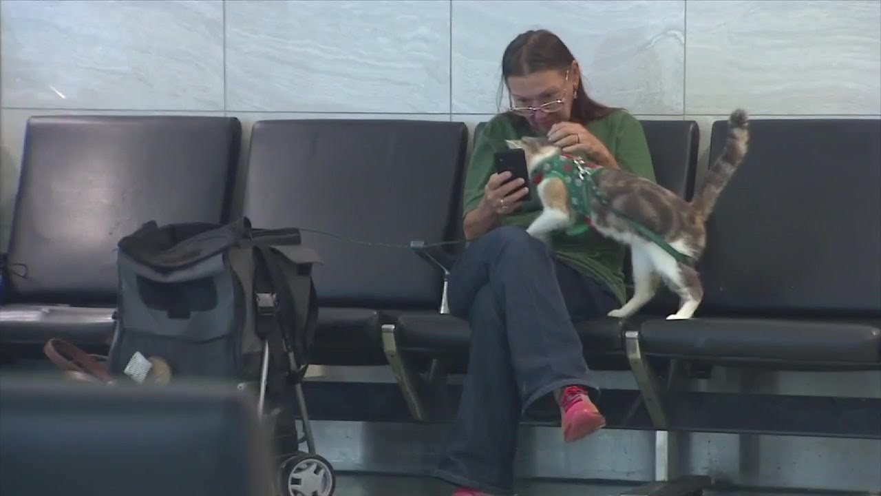 Homeless woman living at FLL now working at the airport, after 7News viewers stepped up to help