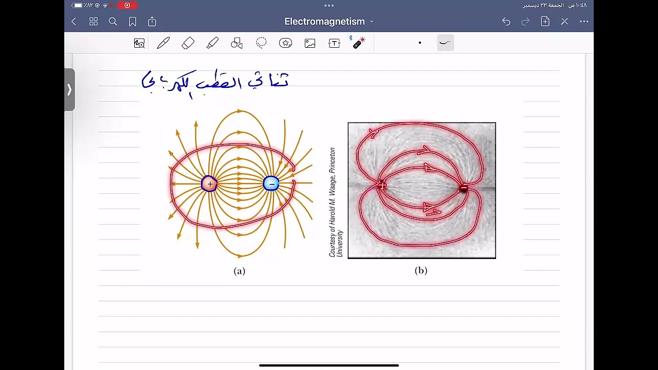 خطوط المجال الكهربائي وحركة الشحنات في المجال الكهربائي