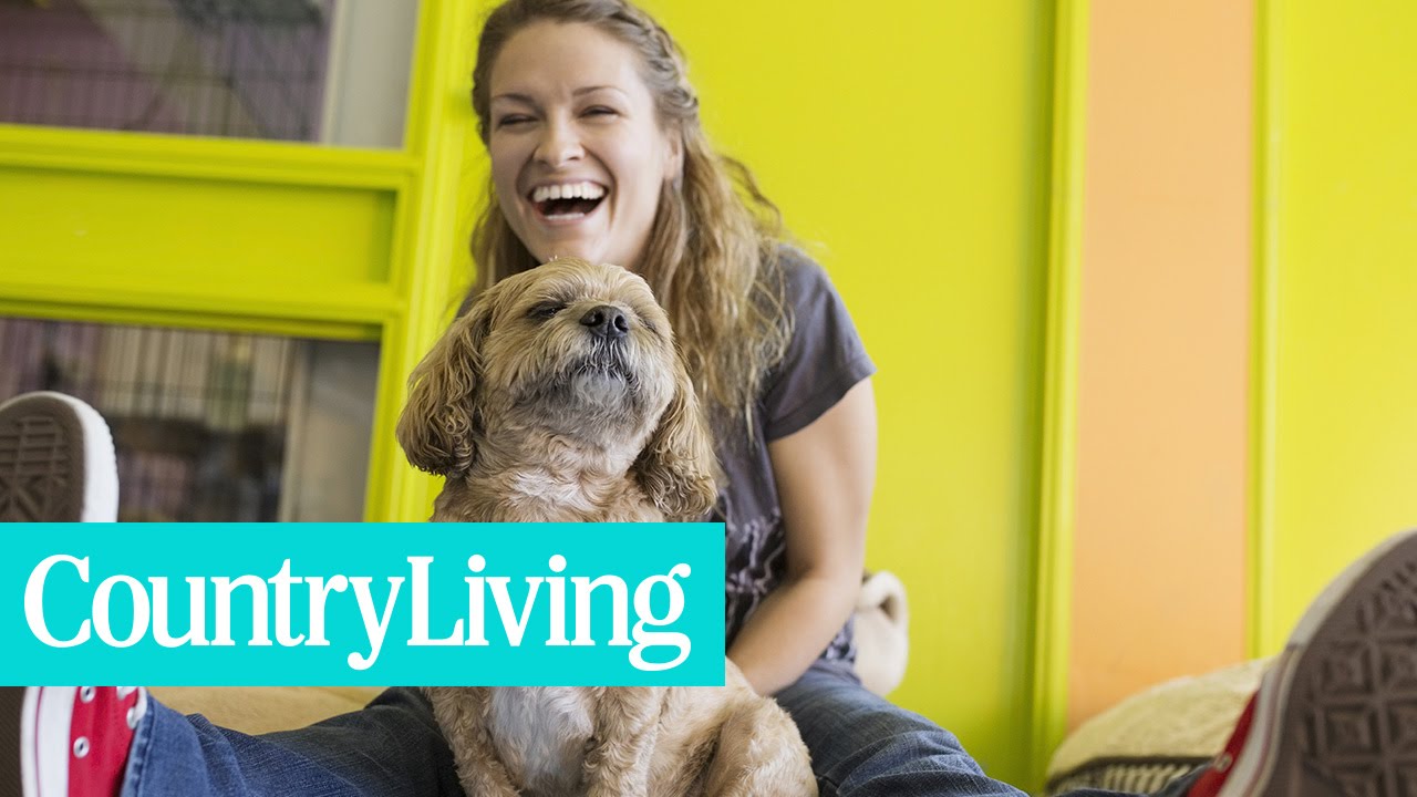 7 Adorable Animals Bonding With Their Owners | Country Living