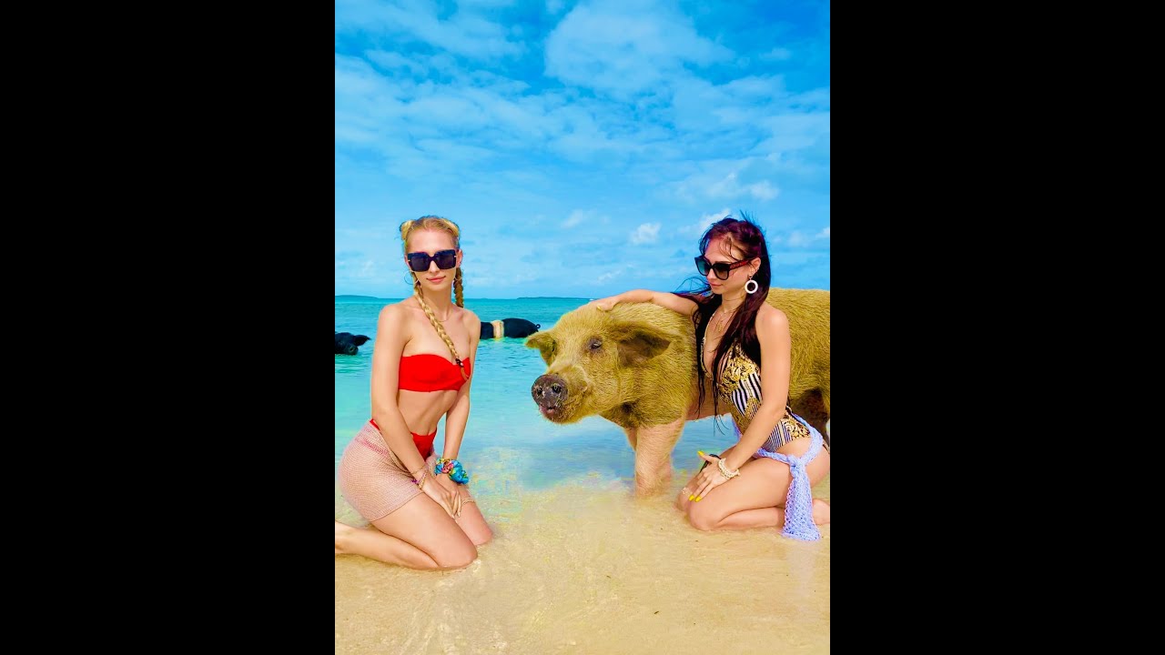 Best Things to do in Exuma, Bahamas 🐷 Exuma, Bahamas Travel Guide/ Tips🦈Exuma, Bahamas Travel Vlog
