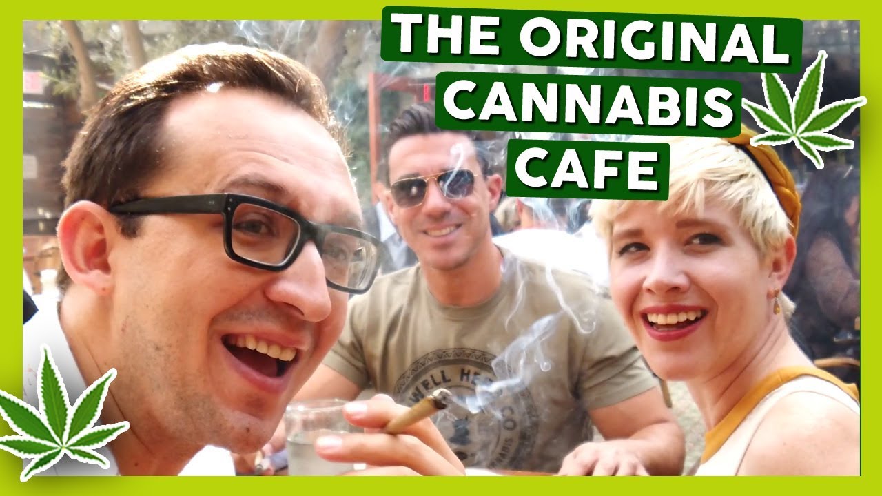 VIP TREATMENT AT THE ORIGINAL CANNABIS CAFE &ndash; America's First Weed Restaurant & Lounge