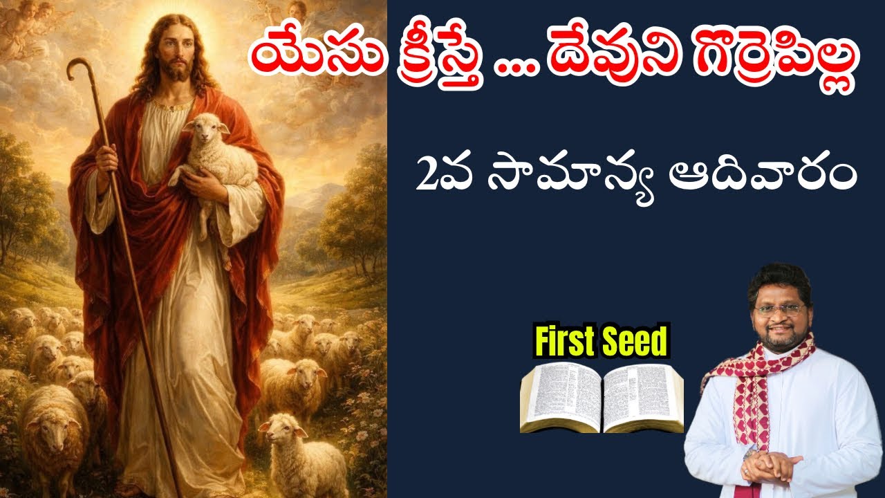 యేసు క్రీస్తే ... దేవుని గొర్రెపిల్ల /2వ సామాన్య ఆదివారం || Fr Jeevan Babu | Fr Jeevan Babu 18/01/26