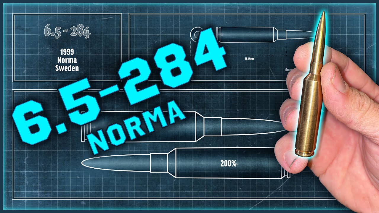 6.5-284 Норма, «Обсуждение патронов», эпизод 12