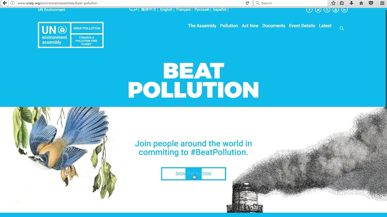 Are you a #BeatPollution Guru? Find out!