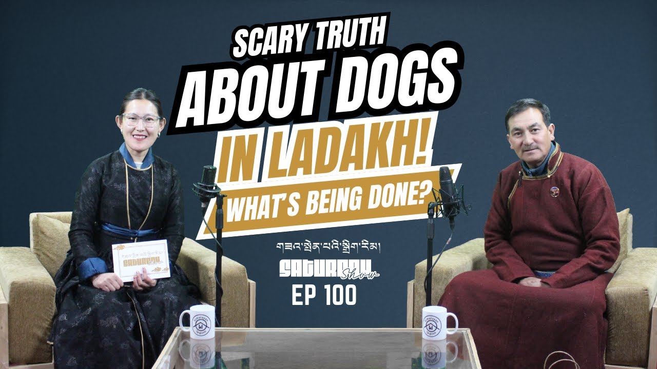 RIGZIN DORJEY| EPISODE 100 | SCARY TRUTH ABOUT DOGS & STRAY ANIMALS IN LADAKH | LIVE TO RESCUE